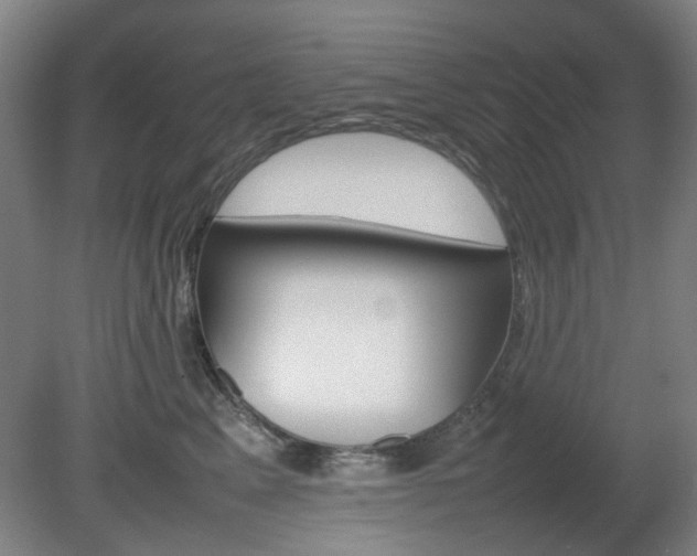 X0000082140617200701190959
