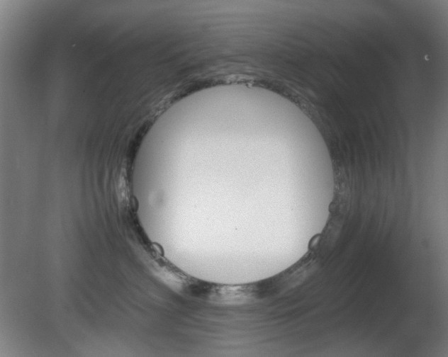 X0000082140622200701190959