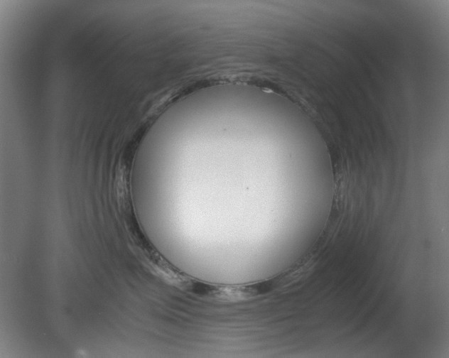 X0000082140623200701190959
