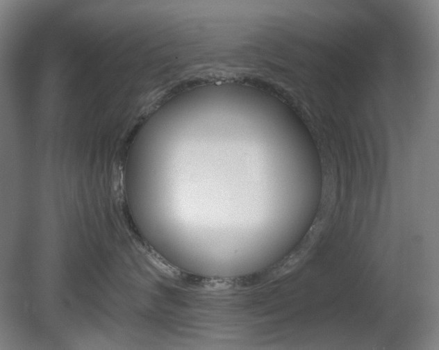 X0000082140624200701190959