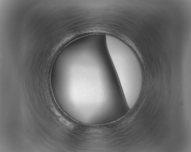 X0000082140625200701190958