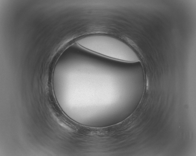 X0000082140627200701190958