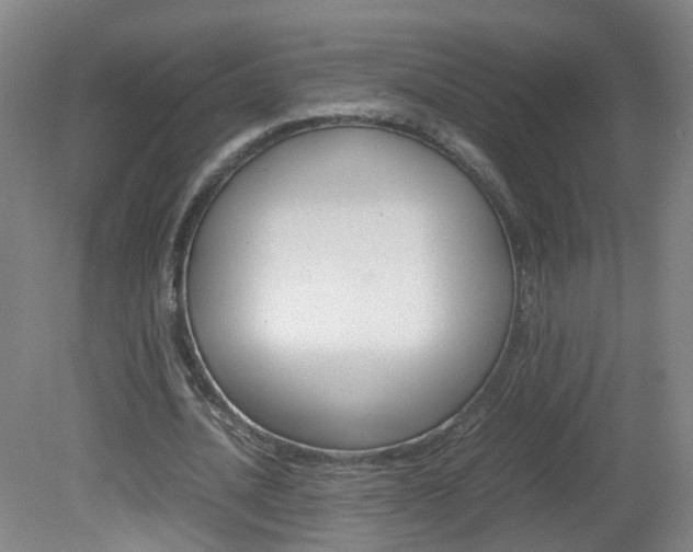 X0000082140628200701190958