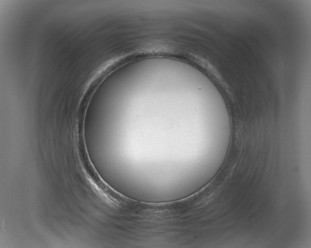 X0000082140629200701190958