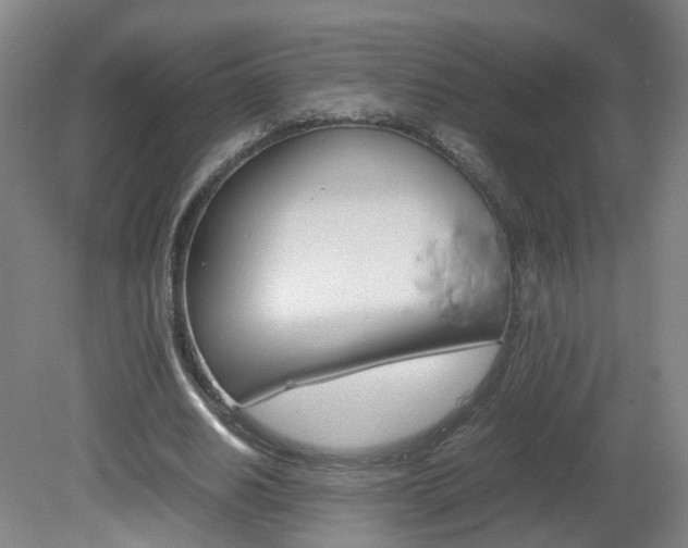 X0000082140630200701190958