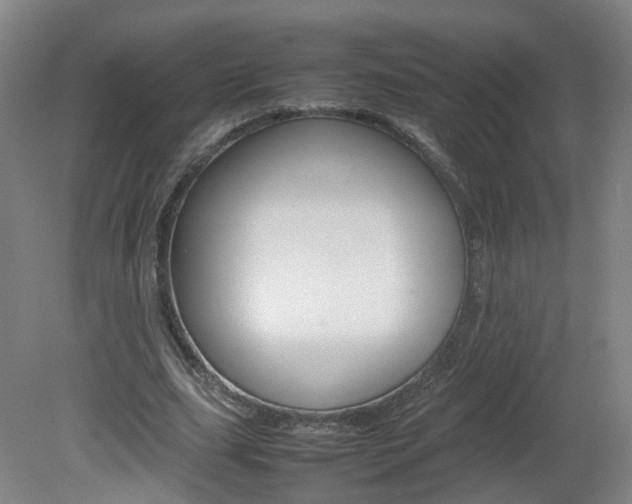 X0000082140631200701190958