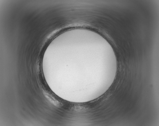 X0000082140632200701190959