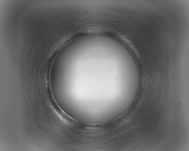 X0000082140633200701190959