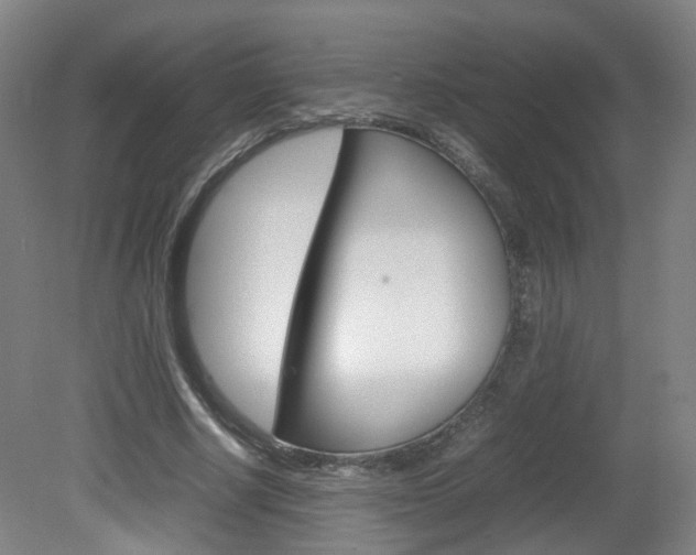 X0000082140634200701190959