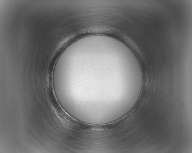 X0000082140636200701190959