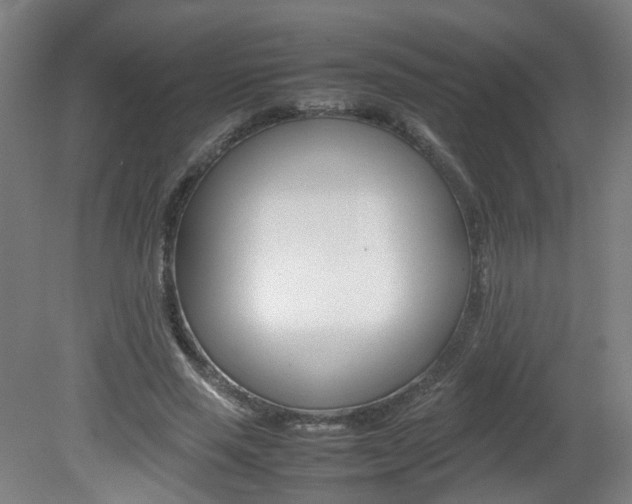 X0000082140637200701190959