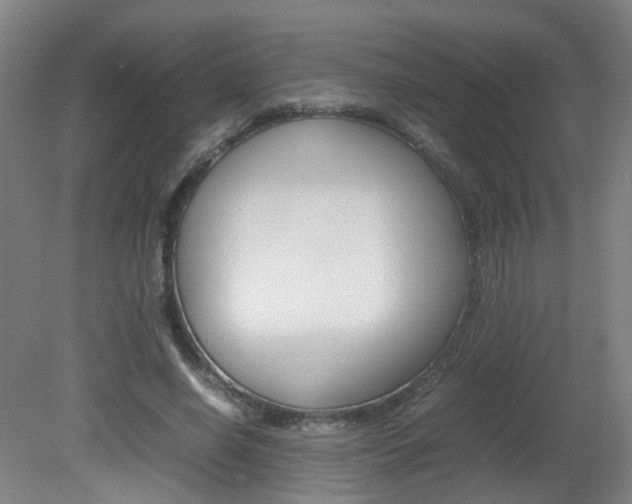 X0000082140638200701190959
