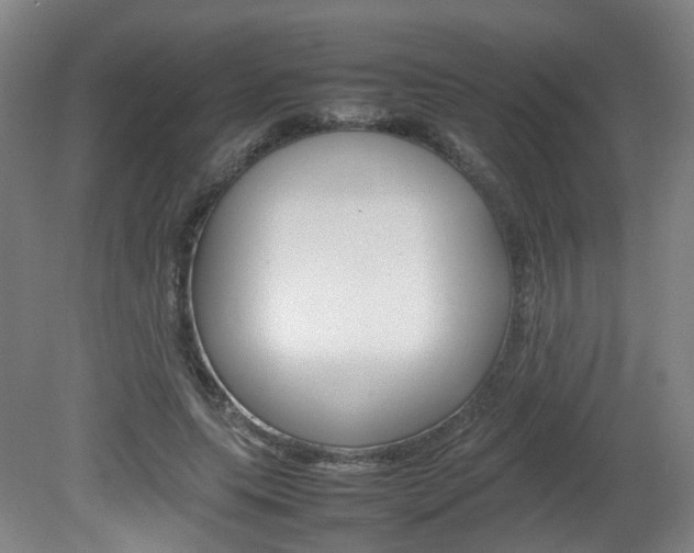 X0000082140639200701190959