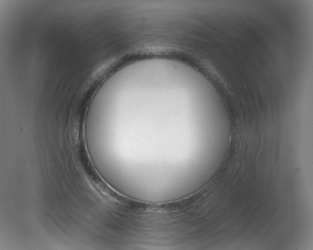X0000082140640200701190959