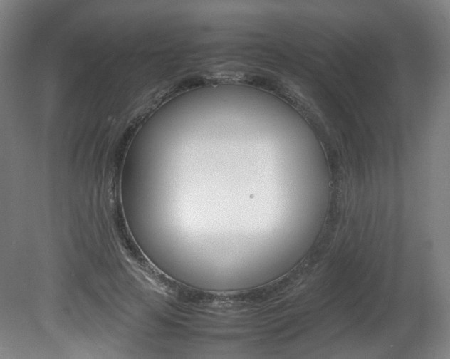 X0000082140641200701190959