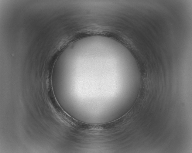 X0000082140642200701190959