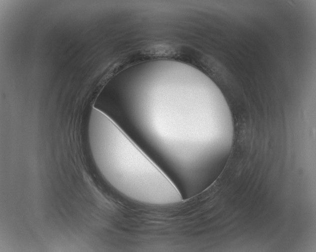 X0000082140643200701190959