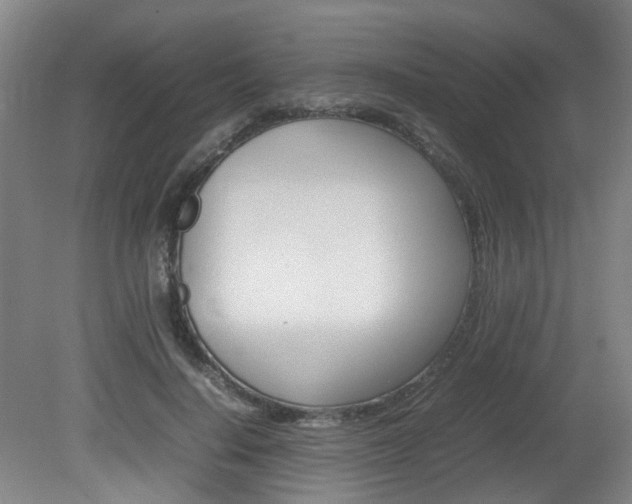 X0000082140644200701190959