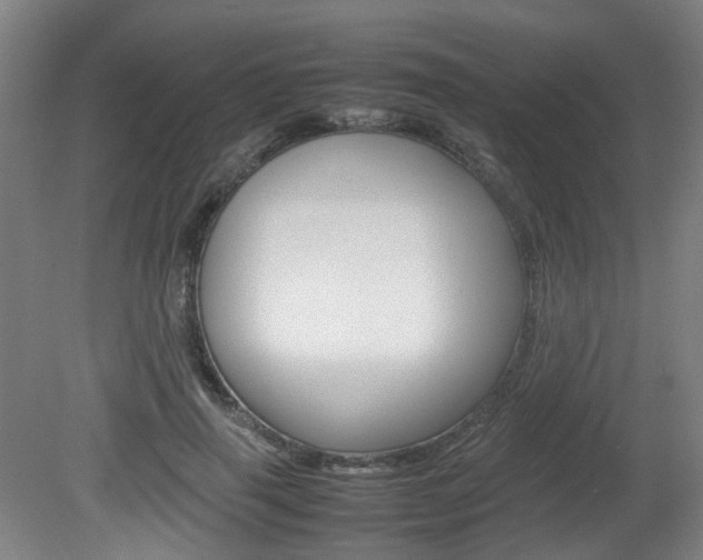 X0000082140645200701190959