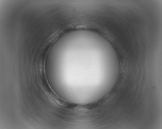 X0000082140648200701190959