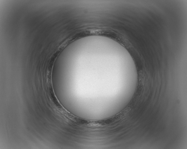 X0000082140650200701190959