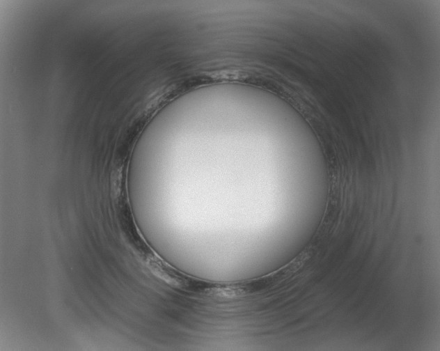 X0000082140652200701190959