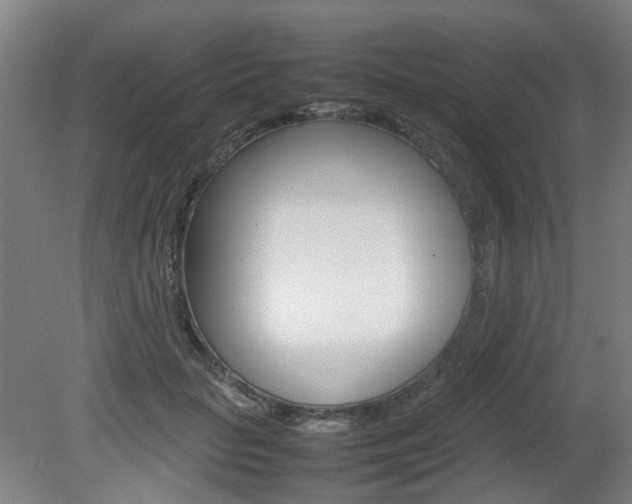 X0000082140653200701190959