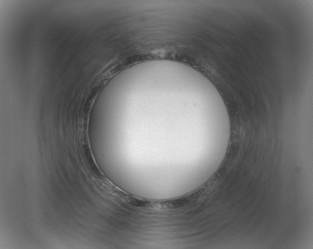 X0000082140656200701190959