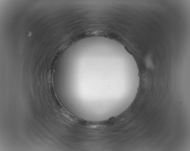 X0000082140657200701190959