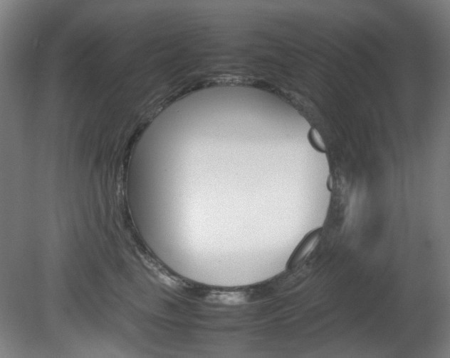 X0000082140665200701190959