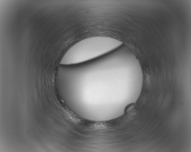 X0000082140668200701190959