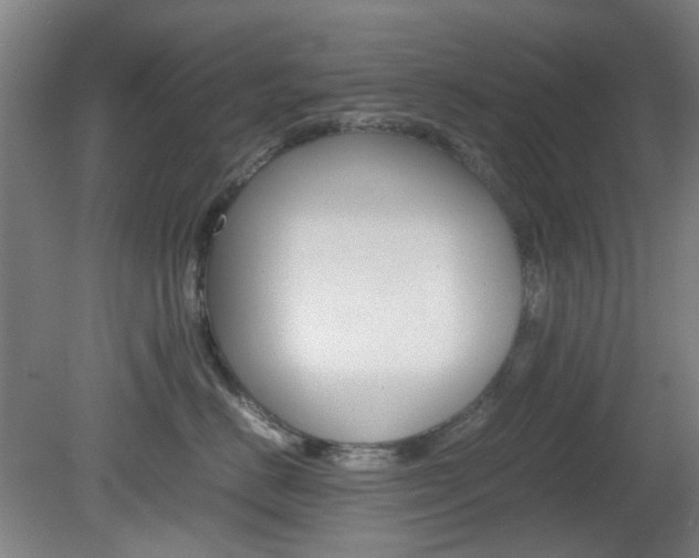 X0000082140670200701190959
