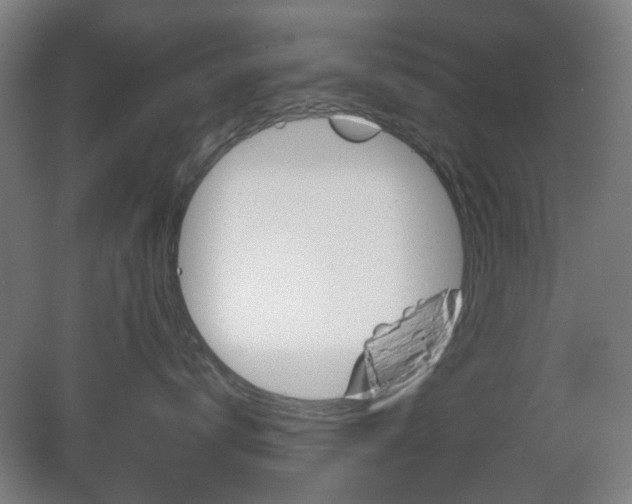 X0000082140672200701190959