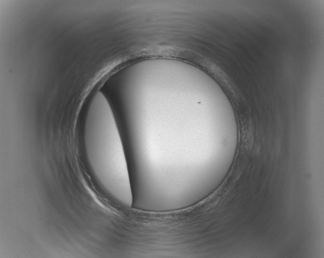 X0000082140674200701190958