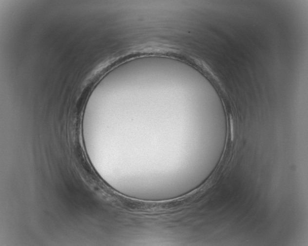 X0000082140675200701190958