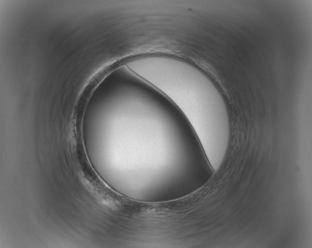 X0000082140680200701190958