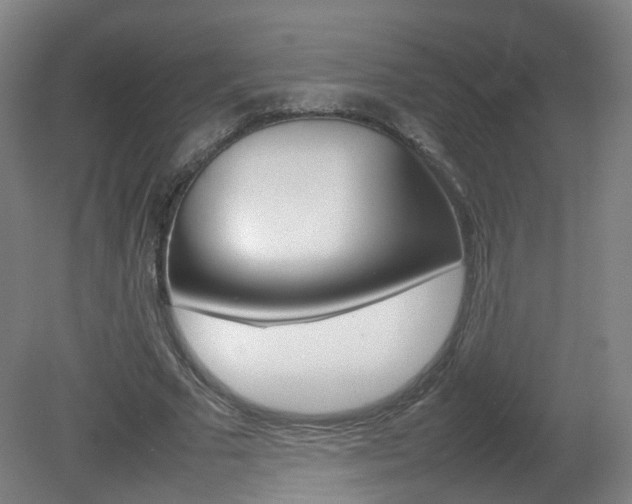 X0000082140681200701190958