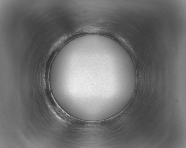 X0000082140682200701190958
