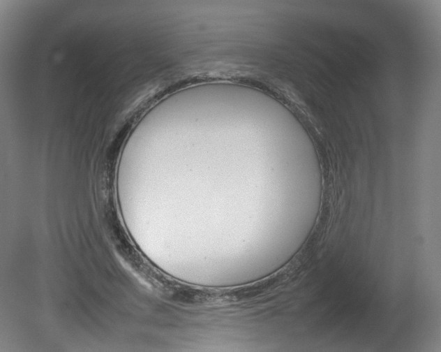 X0000082140683200701190958