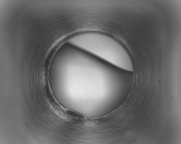 X0000082140684200701190958