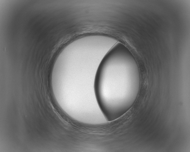 X0000082140685200701190958