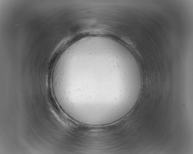 X0000082140686200701190958