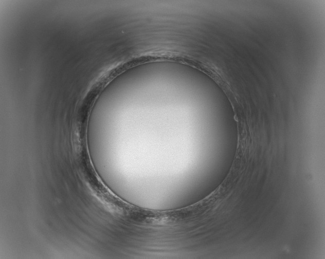 X0000082140688200701190958