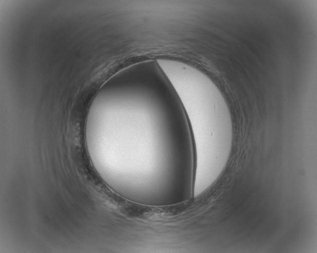 X0000082140689200701190958