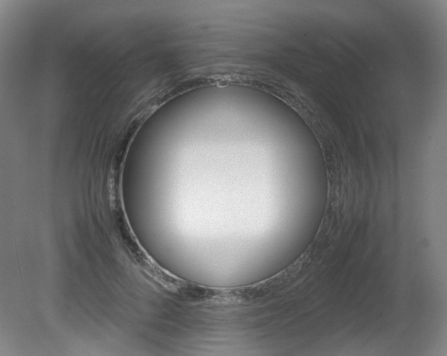 X0000082140696200701190958