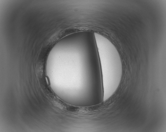 X0000082140697200701190958