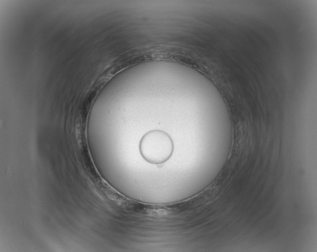 X0000082140698200701190958