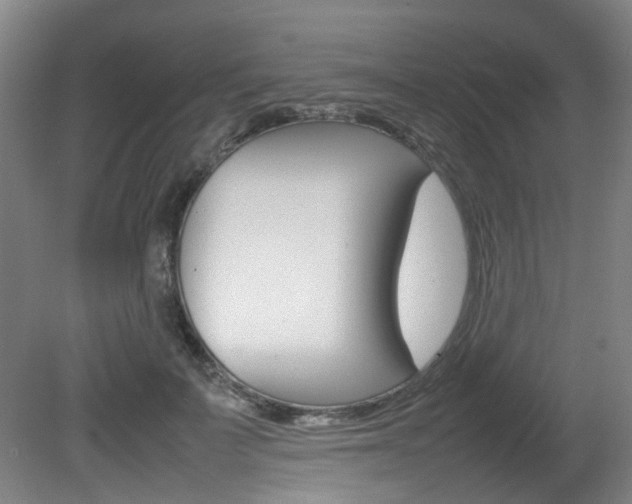 X0000082140699200701190958