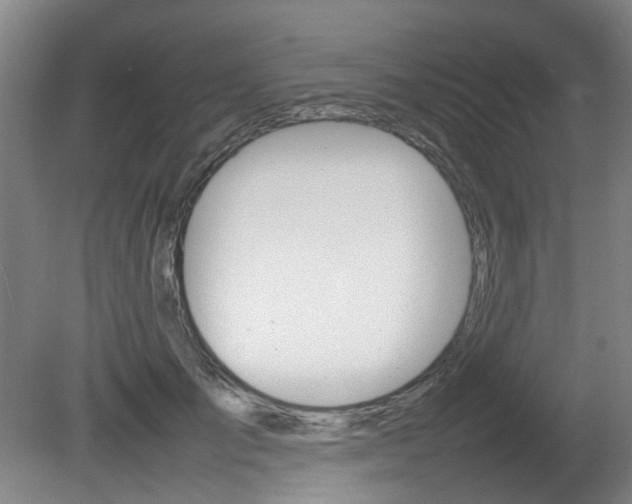 X0000082140701200701190958