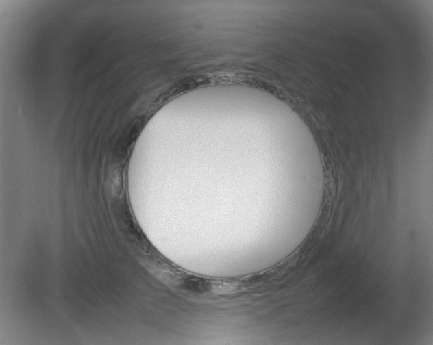 X0000082140709200701190958